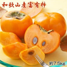 和歌山産富有柿約7.5kg(L~4Lサイズおまかせ)【日高町】【1470213】
