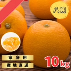 和歌山産 家庭用 完熟木なりハッサクみかん 約10kg 箱入り M~2Lサイズ【1482411】