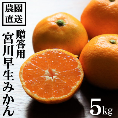 和歌山産　宮川早生　みかん　贈答用　秀品　約5kg箱入り　2S～2Lサイズ【1482417】