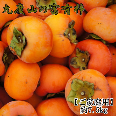 ≪柿の名産地≫九度山の富有柿約7.5kg(サイズ混合 ご家庭用)(日高町)【1488643】