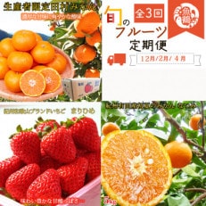 【発送月固定定期便】紀州和歌山産旬のフルーツセット(田村みかん・いちご・なつみ)全3回【配送不可地域:離島・北海道・沖縄】【4052587】