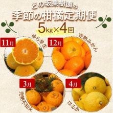 【発送月固定定期便】季節の柑橘定期便(ゆら早生みかん・完熟みかん・不知火・はるかみかん)全4回【配送不可地域:離島・北海道・沖縄】【4052675】