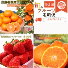 【発送月固定定期便】紀州和歌山産旬のフルーツセット(田村みかん・まりひめ・紀州デコ)全3回【配送不可地域:離島・北海道・沖縄】【4052590】