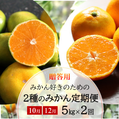【発送月固定定期便】みかん好きに食べてほしい 2種のみかん定期便 各5kg【贈答用・秀品】全2回【配送不可地域:離島・北海道・沖縄】【4053555】