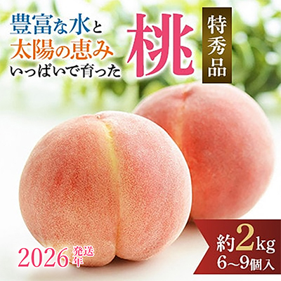 先行受付!　桃　(特秀品)　約2kg　6～9個入【2026年6月下旬より順次発送】【配送不可地域：離島】【1525337】