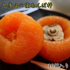【無添加】九度山あんぽ柿「蜜あんぽ」大きめサイズ10袋入り(日高町)【配送不可地域:離島】【1541283】