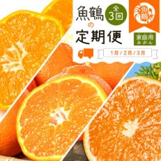 【発送月固定定期便】紀州和歌山産旬のご家庭用柑橘セット(みかん・不知火・清見)全3回【配送不可地域:離島】【4060324】