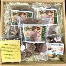 鯖江市産原木乾燥椎茸「越のてまり」セット【1359224】