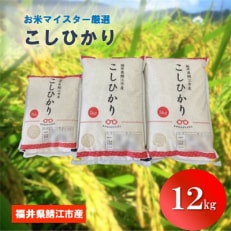 鯖江市産【令和4年産】こしひかり　12kg【1094970】