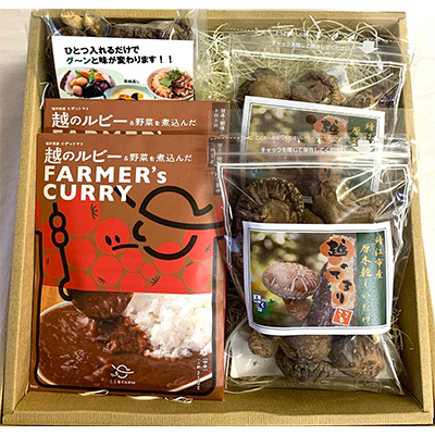 鯖江市産原木乾燥椎茸「越のてまり」、越のルビーのトマトカレーセット【1359236】