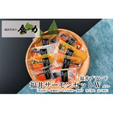 ふくいサーモンセットダブル(西京漬け・塩麹漬け・もろみ漬け・醤油漬けの4種類(各2切れ))【配送不可地域:離島】【1389120】