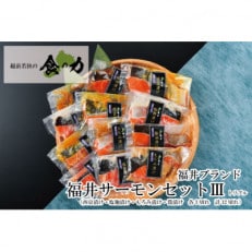 ふくいサーモンセットトリプル (西京漬け・塩麹漬け・もろみ漬け・醤油漬けの4種類(各3切れ))【配送不可地域:離島】【1393719】
