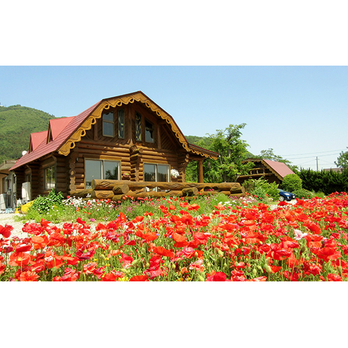 宿泊券 ペンションいぶき 滋賀 1泊2食付き 2名様 ペア チケット ログコテージ 宿泊チケット ペアチケット ペア宿泊券 旅行券 宿泊 旅行 観光 クーポン ホテル 滋賀県 米原市