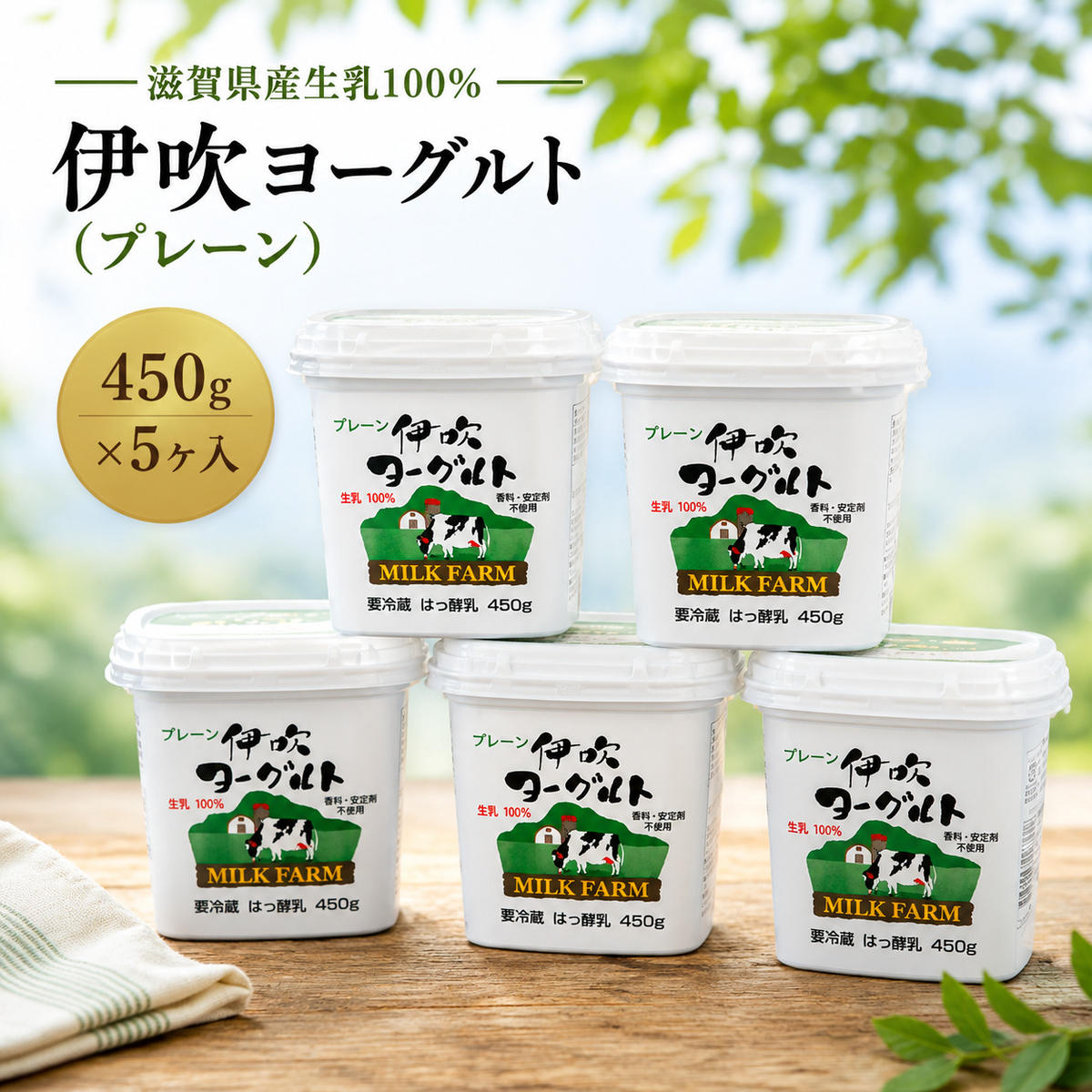 伊吹ヨーグルト（プレーン）450g×5ヶ入 乳製品 加工食品 