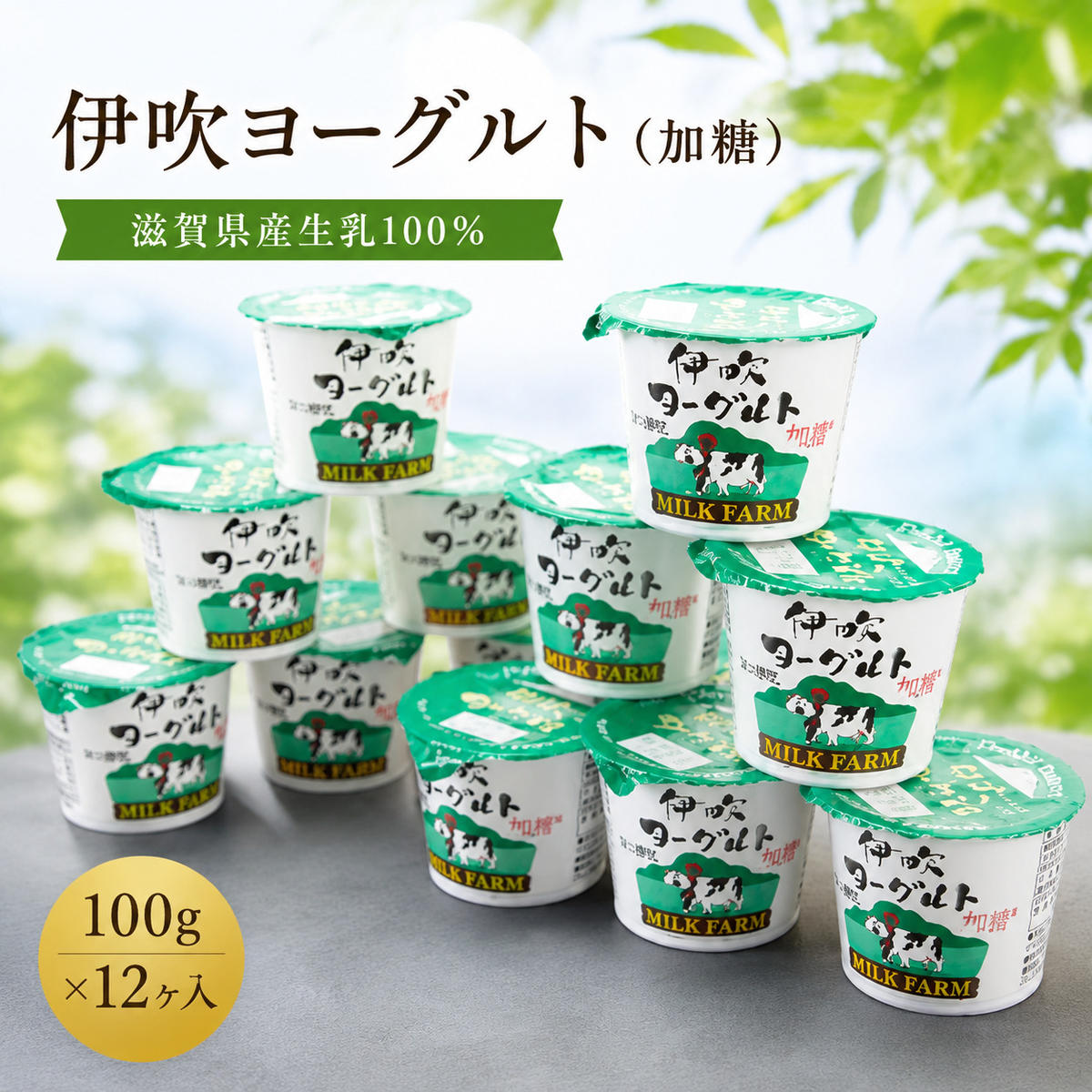 伊吹ヨーグルト（加糖）100g×12ヶ入 乳製品 加工食品 