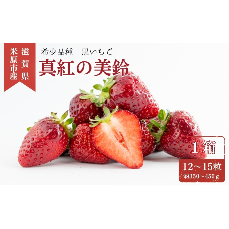 希少品種黒色いちご「真紅の美鈴(しんくのみすず)」 いちご 黒いちご 本州限定 苺 イチゴ 果物 フルーツ くだもの 国産