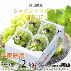 【2025年8月発送】ご家庭用　岡山県産　シャインマスカット　晴王　2kg(3～6房)【配送不可地域：離島】【1409700】