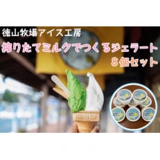 徳山牧場アイス工房の搾りたてミルクでつくるジェラート8個セット【配送不可地域:離島】【1423319】