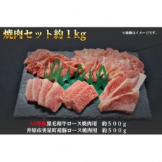 焼肉セット1kg(4~5人用)A5等級 黒毛和牛ロース約500gと豚ロース約500g 岡山県産【配送不可地域:離島】【1416016】