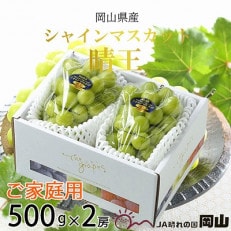 【2025年8月下旬より発送】ご家庭用 岡山県産 シャインマスカット 晴王 500g×2房【配送不可地域:離島】【1409698】