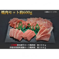 焼肉セット600g(2~3人用)A5等級 黒毛和牛ロース約300gと豚ロース約300g 岡山県産【配送不可地域:離島】【1416011】