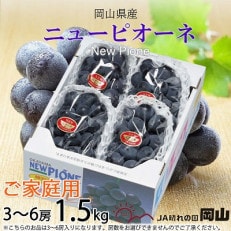 【2025年8月下旬より発送】ご家庭用　岡山県産　ピオーネ　1.5kg(3～6房)【配送不可地域：離島】【1409697】