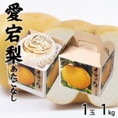 岡山県産 あたご梨 1玉 1kg【配送不可地域:離島・北海道・沖縄】【1358518】