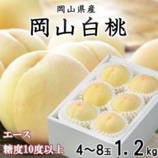 岡山白桃 エース4~8玉 1.2kg 岡山県産【配送不可地域:離島・北海道・沖縄】【1366153】