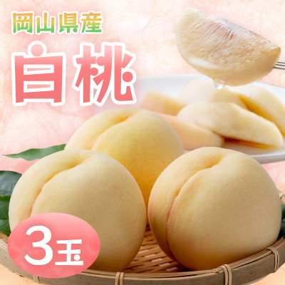 【2026年発送】岡山県産 白桃 3玉 約800g【配送不可地域:離島】【1493865】