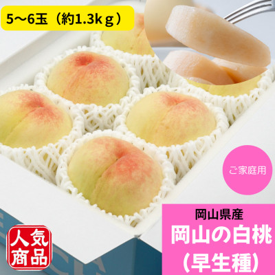 【2026年発送】ご家庭用　岡山の白桃(早生種)　約1.3kg(5～6玉)【配送不可地域：離島】【1493940】