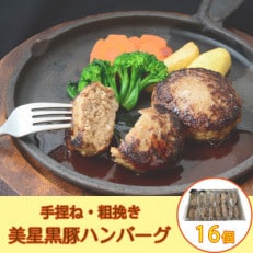 黒豚手捏ね粗挽きハンバーグ16個(生ハンバーグ)【美星満天豚使用】【配送不可地域:離島】【1499738】