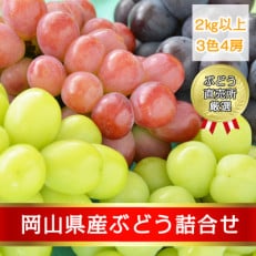 馬ぶどう、青い実、２キロ以上 自然栽培】野ぶどう 馬ぶどう 生の青い実：岩手県産の野菜｜食べ