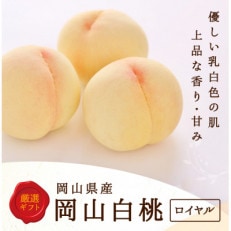【2026年発送】岡山県産 白桃 6玉 (1.5kg以上) 等級:ロイヤル 化粧箱入り【配送不可地域:離島・北海道・沖縄】【1514895】