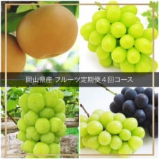 【発送月固定定期便】岡山県産 フルーツ定期便全4回【配送不可地域:離島・北海道・沖縄】【4052318】