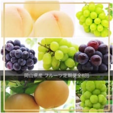 【発送月固定定期便】岡山県産 フルーツ定期便全6回【配送不可地域:離島・北海道・沖縄】【4055520】