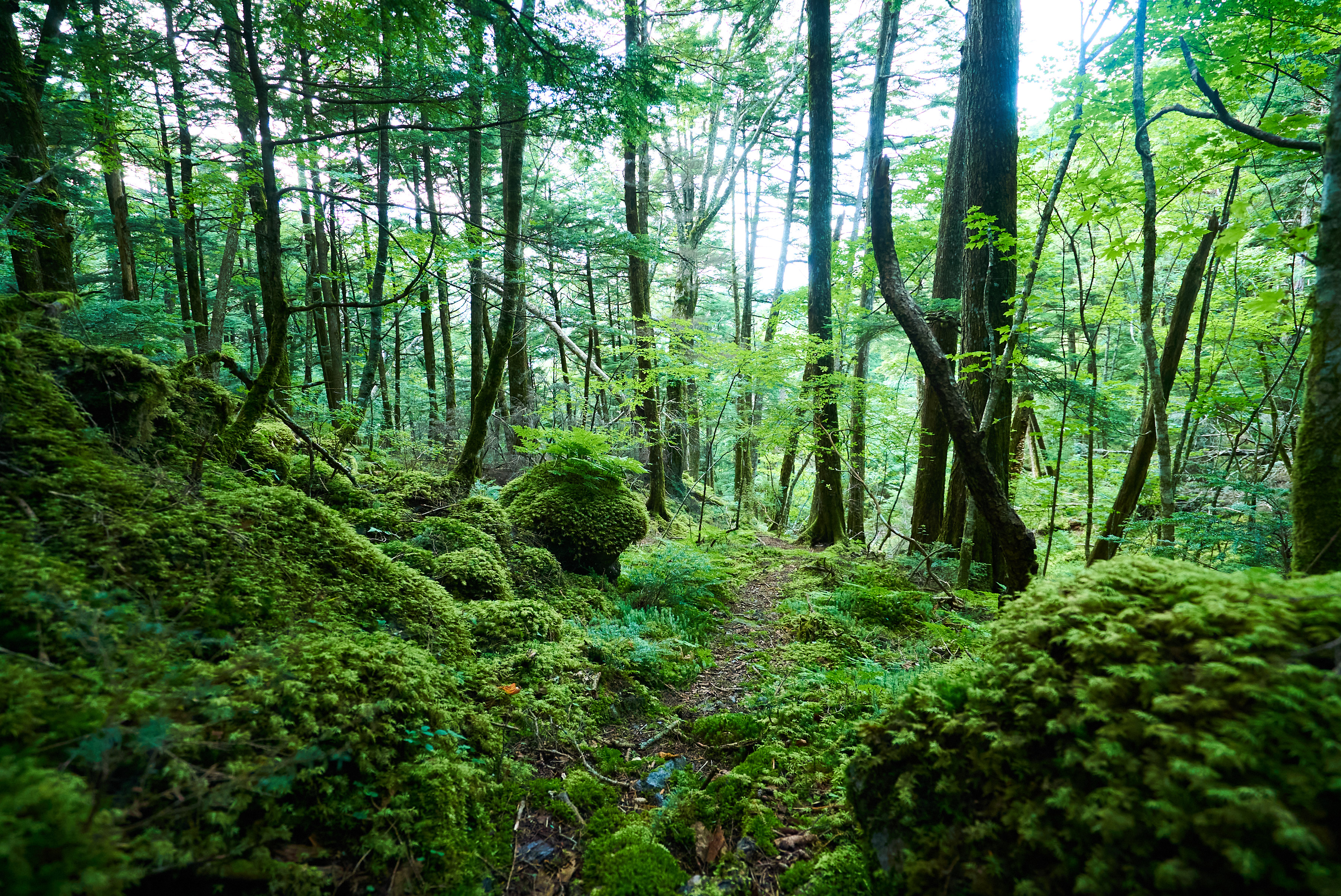 長野県北相木村
