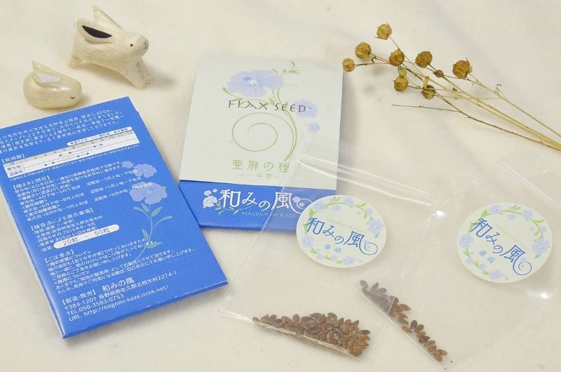 和みの風 観賞用亜麻の種