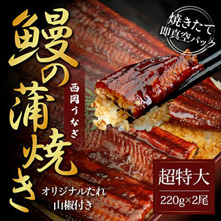 本気の高知ブランド鰻「西岡うなぎ」 - 超特大サイズ - うなぎの蒲焼き2尾セット(約440g)タレ山椒付き #食べて応援