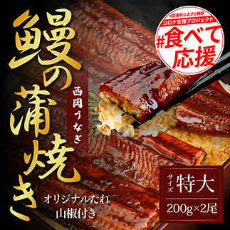 緊急支援 人気惣菜 本気の高知ブランド鰻「西岡うなぎ」~特上(特大サイズ)~うなぎの蒲焼き2尾セット(約400g)タレ・山椒付き|ウナギ 国産 特産品 高知県産 土佐 食べて応援 蒲焼 焼きたて 丼 うな重 ひつまぶし〈田野町共通返礼品〉