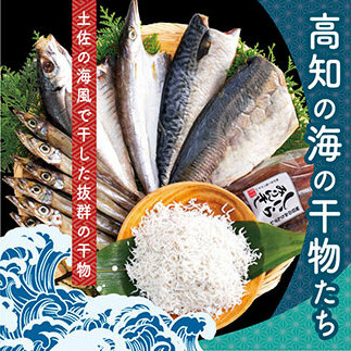 高知の海の干物たち<土佐の海風で干した抜群の干物を><高知市・南国市共通返礼品>