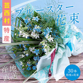 《先行予約》芸西村特産ブルースター花束(約30本程度の花束)
