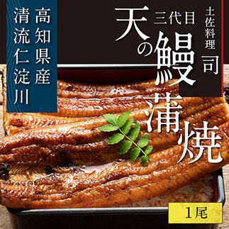 “土佐料理司”三代目天の鰻蒲焼1尾セット/「仁淀川」水系の地下水使用 完全無投薬養殖 国産・高知県産〈高知市共通返礼品〉うなぎ 真空パック (ウナギ・たれセット)