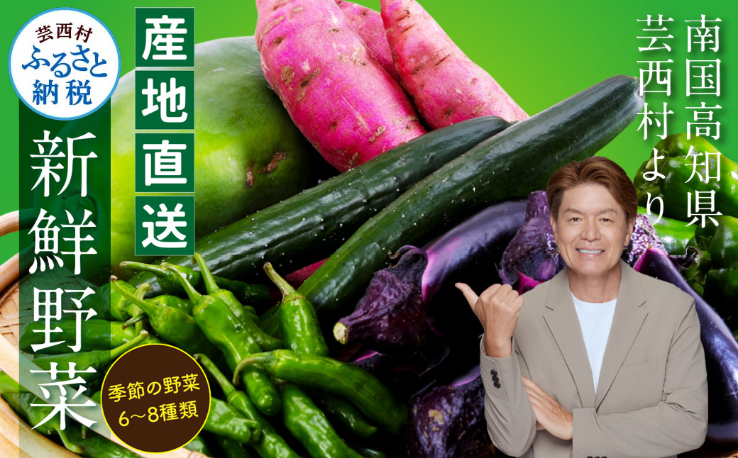 【先行予約】朝どれ!野菜の詰合せ 芸西村で採れた新鮮な野菜6〜8種類をお届けします。