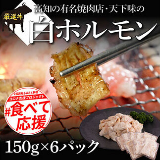 白ホルモン 天下味オリジナル本格塩ダレ漬け(150g×6パック) 高知市共通返礼品 人気 牛肉 お肉 小腸 焼き肉 タレ 焼肉 BBQ バーベキュー 冷凍 小分け おつまみ どんぶり お手軽 食べて応援
