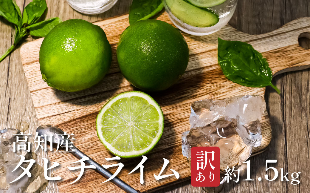 訳ありタヒチライム 約1.5kg ライム 国産 種なし 柑橘類 かんきつ類 防腐剤不使用 ノーワックス 新鮮 冷蔵 家庭用 果物 くだもの フルーツ 芸西村 高知県産