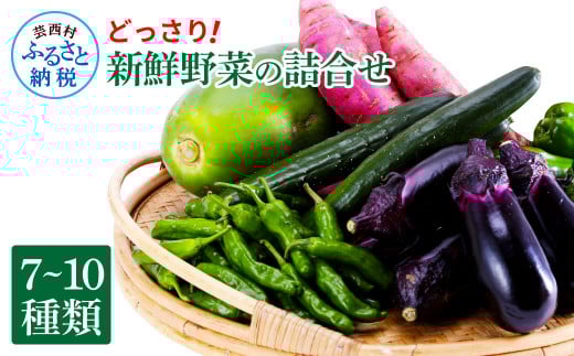 【先行予約】どっさり!新鮮野菜の詰合せ 7~10種類 ピーマン 茄子 なす ナス おまかせ 特産品 野菜 やさい 野菜セット おかず 健康 新鮮 詰め合わせ お楽しみ お取り寄せ 通販