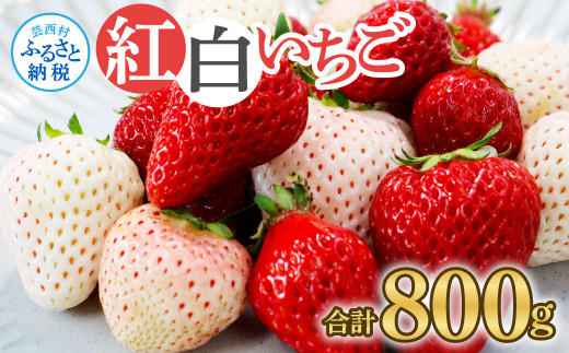 “Berry農園”山本さんの紅白いちご