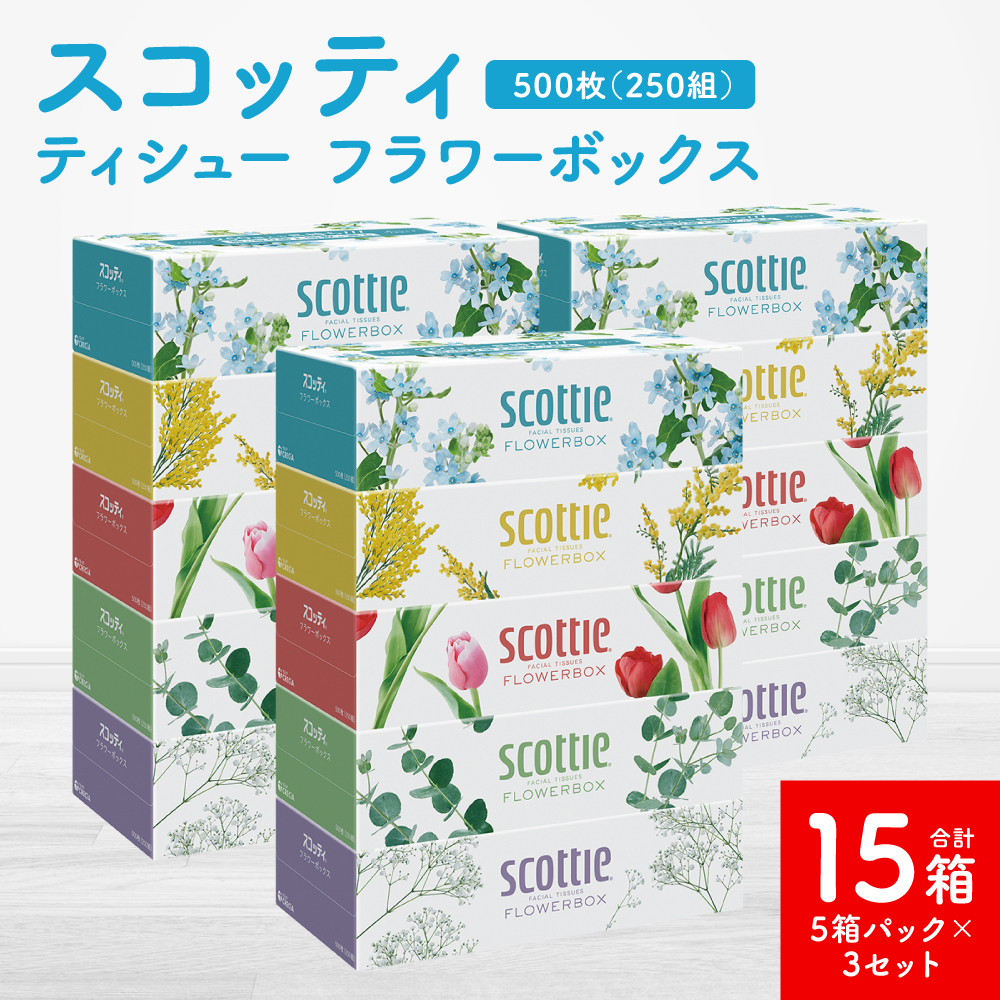 【スコッティ】ティシュー フラワーボックス 250組 5箱パック×3セット 合計15箱 ティッシュ 日用品 生活必需品 消耗品 紙 まとめ買い 備蓄 防災備蓄 デザインボックス