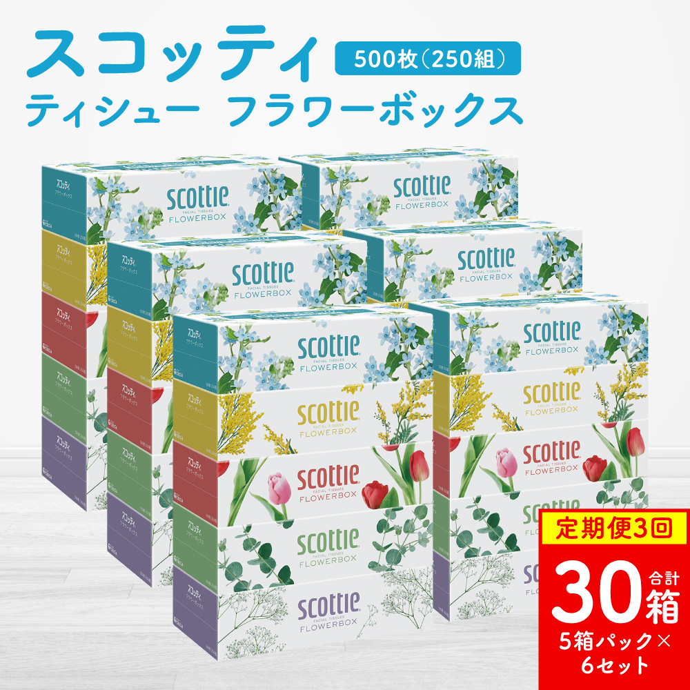 【定期便3回】【毎月お届け】【スコッティ】ティシュー フラワーボックス 250組 5箱パック×6セット 合計30箱 ティッシュ 日用品 生活必需品