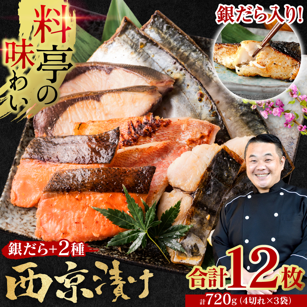 【訳あり】厳選 鮮魚 西京漬け 720g 銀だら入り 食べ比べ 3種 12枚 西京焼き 4切れ×3袋 日本料理店 料亭 西京焼き 銀だら 厳選 鮮魚 魚 さかな 冷凍 【順次発送】